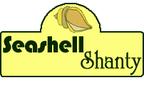 Seashell Shanty